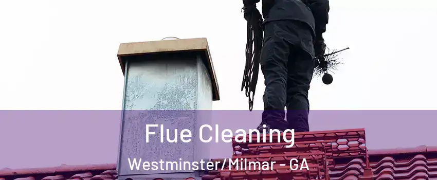 Flue Cleaning Westminster/Milmar - GA