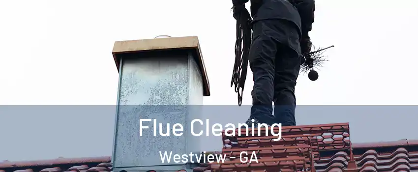 Flue Cleaning Westview - GA