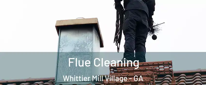 Flue Cleaning Whittier Mill Village - GA