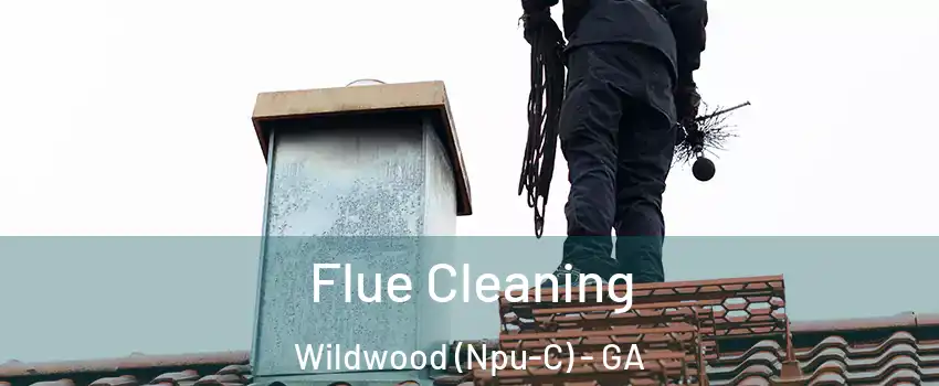 Flue Cleaning Wildwood (Npu-C) - GA