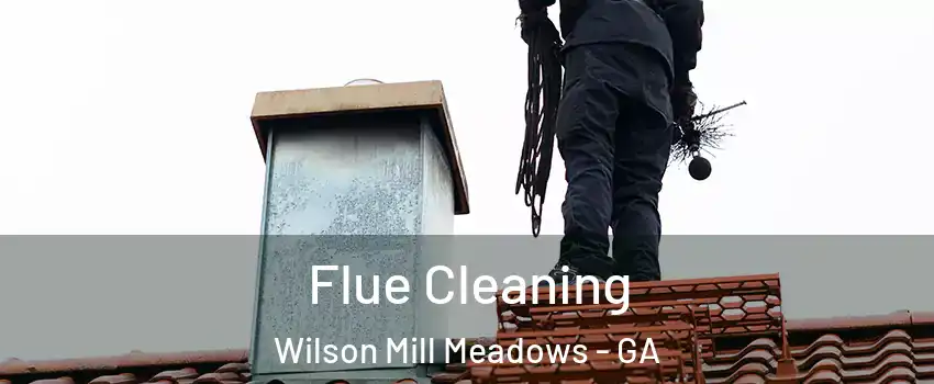 Flue Cleaning Wilson Mill Meadows - GA