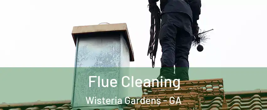 Flue Cleaning Wisteria Gardens - GA