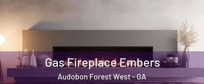 Gas Fireplace Embers Audobon Forest West - GA