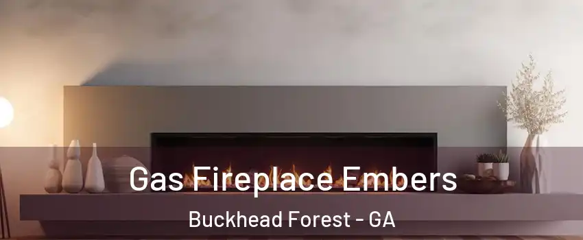 Gas Fireplace Embers Buckhead Forest - GA