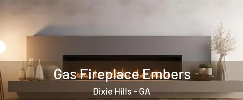 Gas Fireplace Embers Dixie Hills - GA