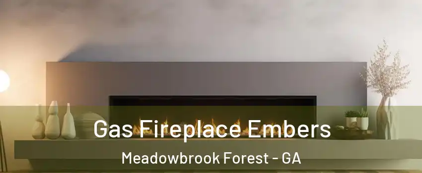 Gas Fireplace Embers Meadowbrook Forest - GA
