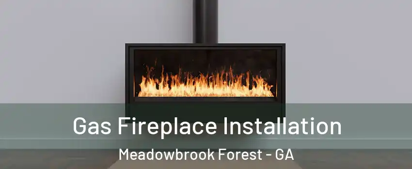 Gas Fireplace Installation Meadowbrook Forest - GA