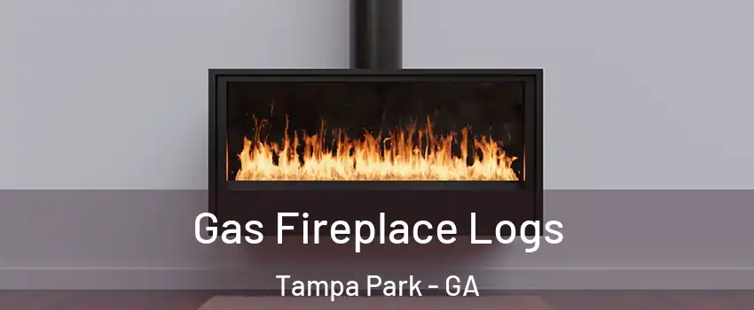 Gas Fireplace Logs Tampa Park - GA