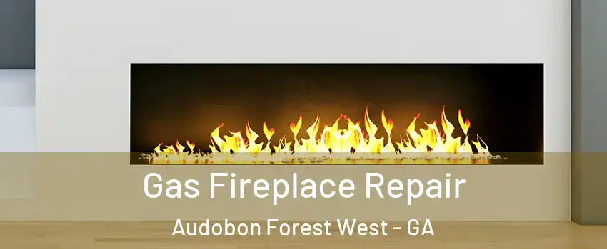 Gas Fireplace Repair Audobon Forest West - GA