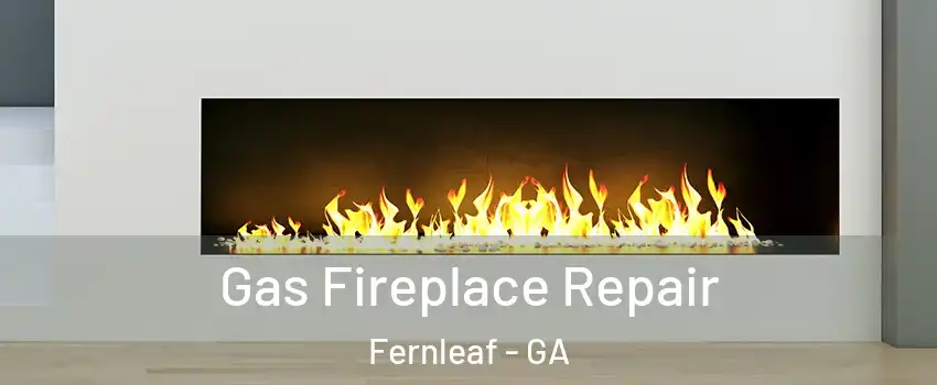 Gas Fireplace Repair Fernleaf - GA