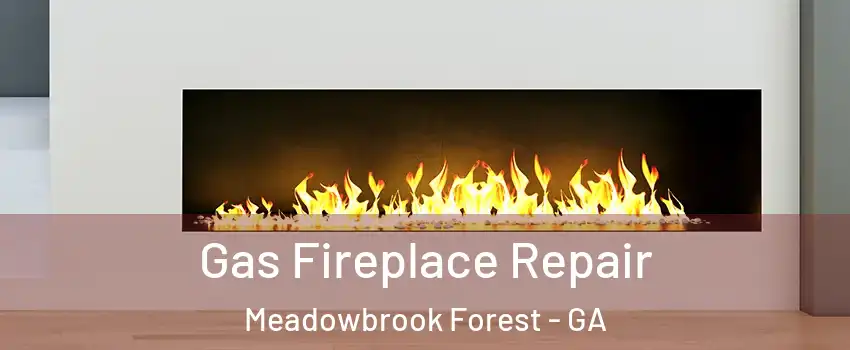 Gas Fireplace Repair Meadowbrook Forest - GA