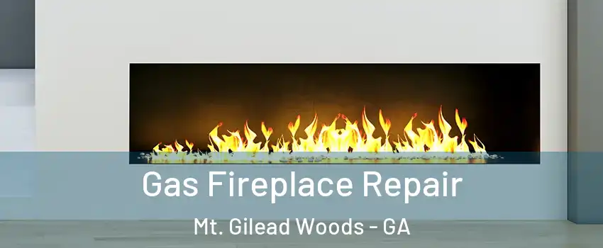 Gas Fireplace Repair Mt. Gilead Woods - GA