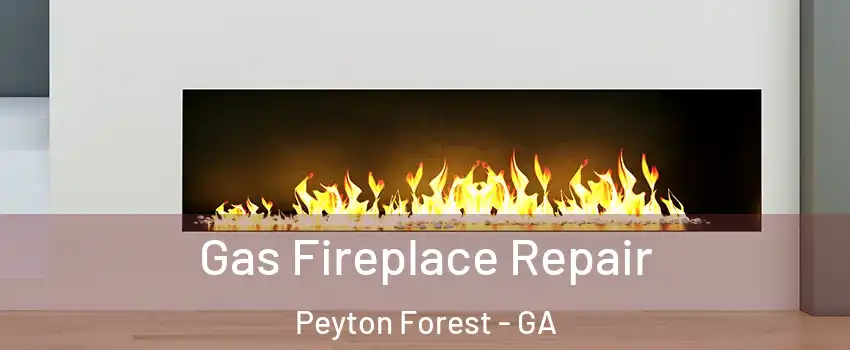 Gas Fireplace Repair Peyton Forest - GA