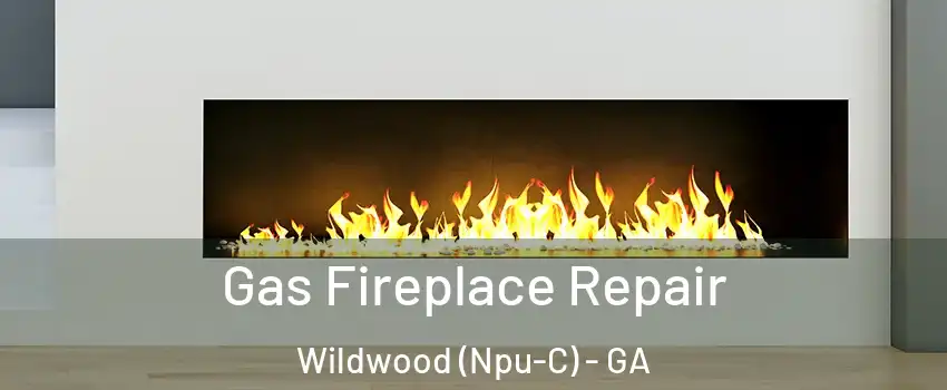 Gas Fireplace Repair Wildwood (Npu-C) - GA