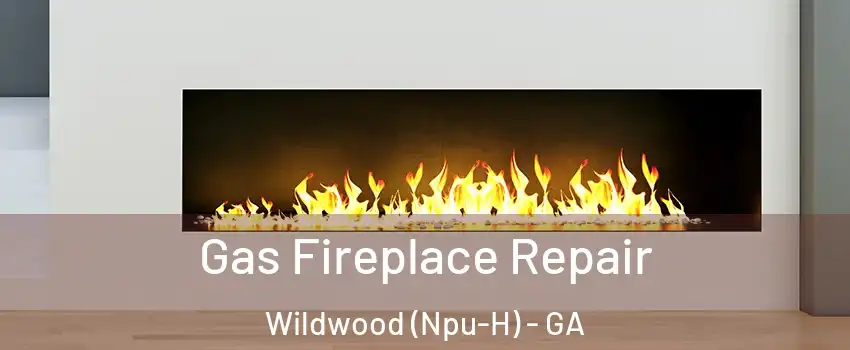 Gas Fireplace Repair Wildwood (Npu-H) - GA