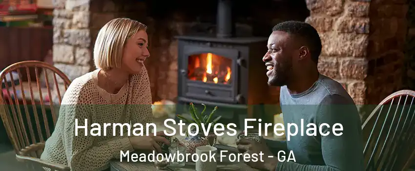 Harman Stoves Fireplace Meadowbrook Forest - GA
