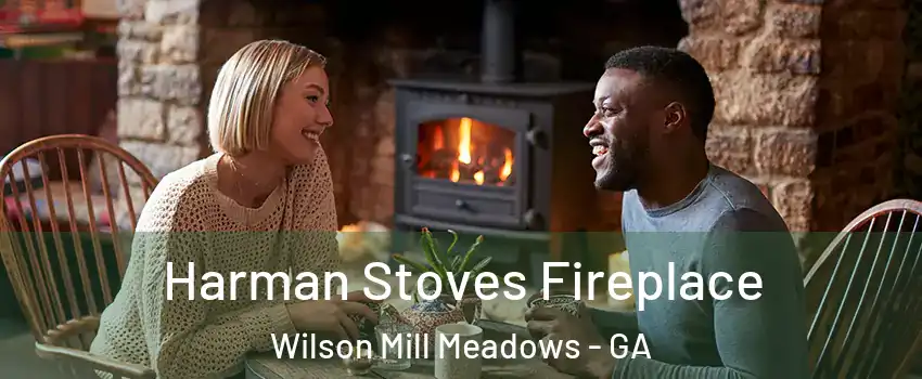 Harman Stoves Fireplace Wilson Mill Meadows - GA