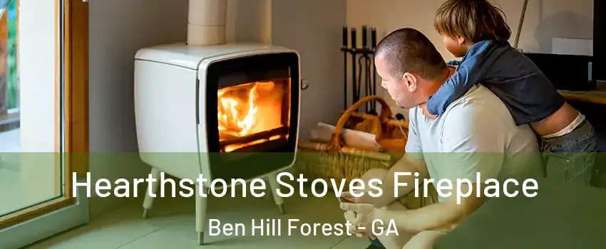Hearthstone Stoves Fireplace Ben Hill Forest - GA