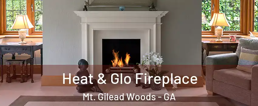 Heat & Glo Fireplace Mt. Gilead Woods - GA