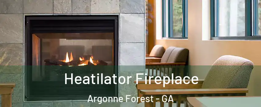 Heatilator Fireplace Argonne Forest - GA