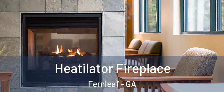 Heatilator Fireplace Fernleaf - GA