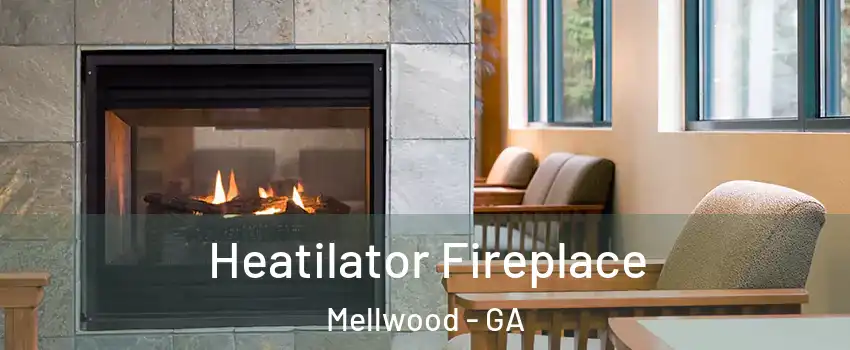 Heatilator Fireplace Mellwood - GA