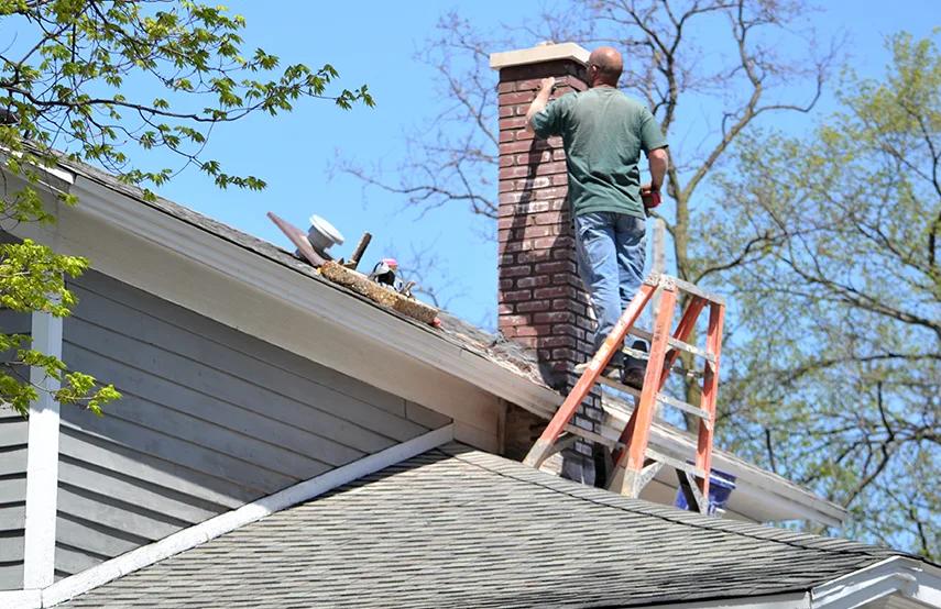 Chimney & Fireplace Inspections Services in Atlanta, GA