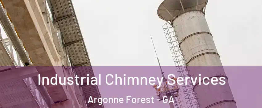 Industrial Chimney Services Argonne Forest - GA