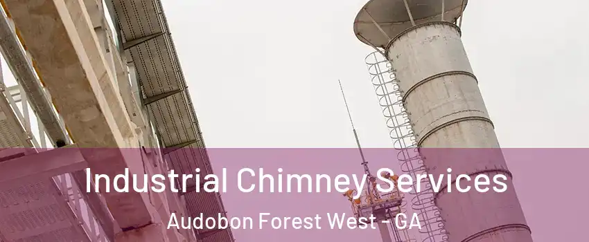 Industrial Chimney Services Audobon Forest West - GA