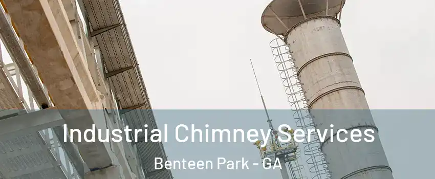 Industrial Chimney Services Benteen Park - GA