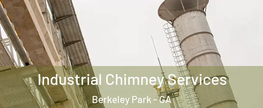 Industrial Chimney Services Berkeley Park - GA