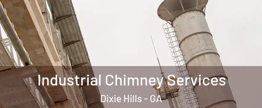 Industrial Chimney Services Dixie Hills - GA