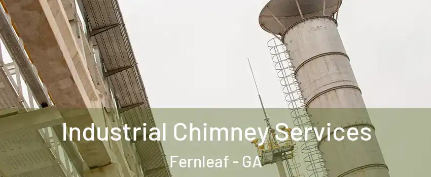 Industrial Chimney Services Fernleaf - GA