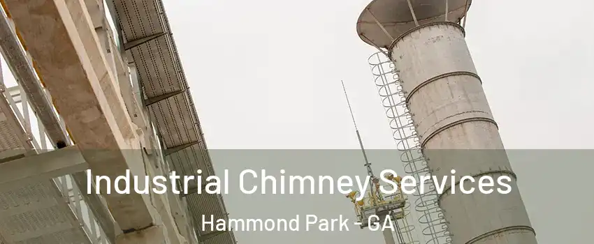 Industrial Chimney Services Hammond Park - GA