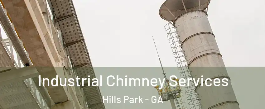 Industrial Chimney Services Hills Park - GA