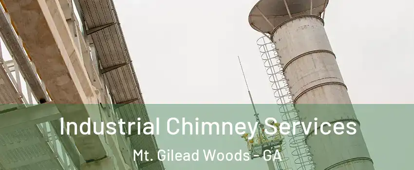Industrial Chimney Services Mt. Gilead Woods - GA