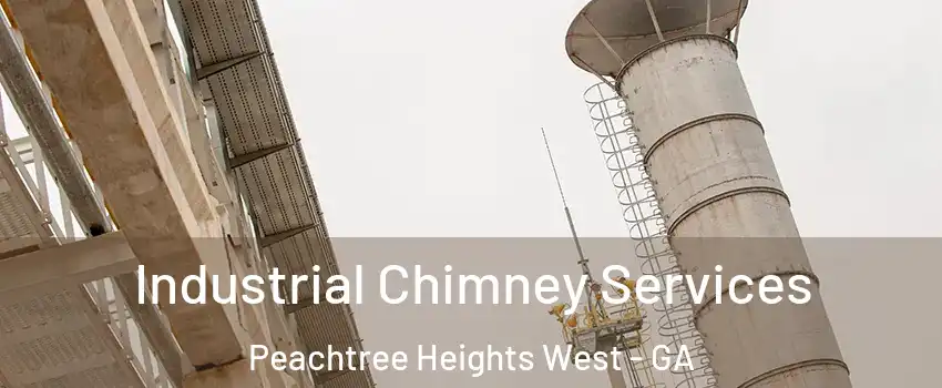 Industrial Chimney Services Peachtree Heights West - GA