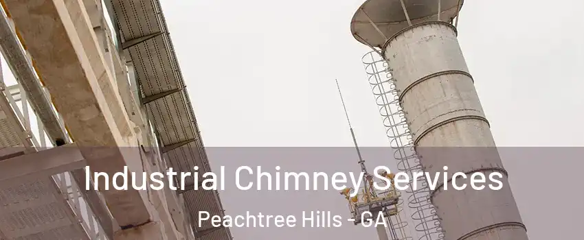 Industrial Chimney Services Peachtree Hills - GA