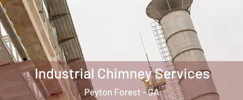 Industrial Chimney Services Peyton Forest - GA