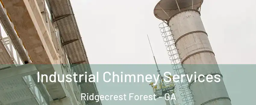 Industrial Chimney Services Ridgecrest Forest - GA