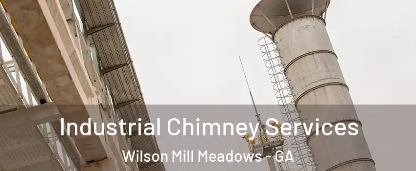 Industrial Chimney Services Wilson Mill Meadows - GA