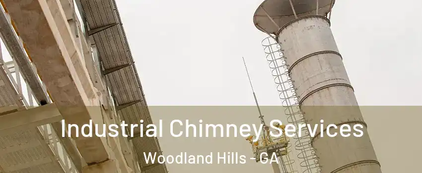 Industrial Chimney Services Woodland Hills - GA