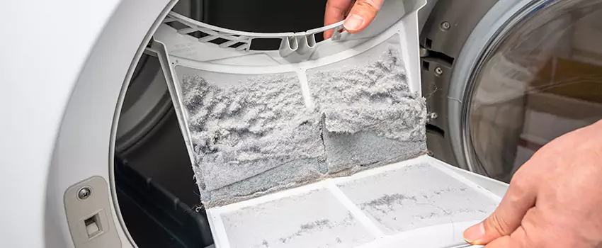 Best Dryer Lint Removal Company in Berkeley Park, Georgia