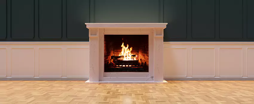 Napoleon Electric Fireplaces Inspection Service in South Tuxedo Park, Georgia