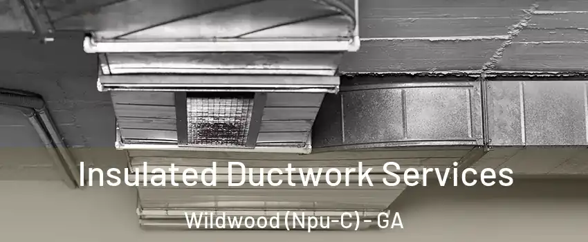 Insulated Ductwork Services Wildwood (Npu-C) - GA