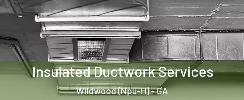 Insulated Ductwork Services Wildwood (Npu-H) - GA