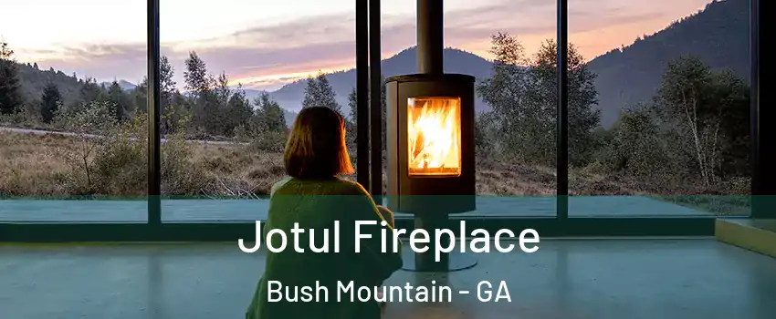 Jotul Fireplace Bush Mountain - GA