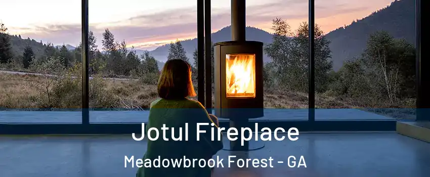 Jotul Fireplace Meadowbrook Forest - GA