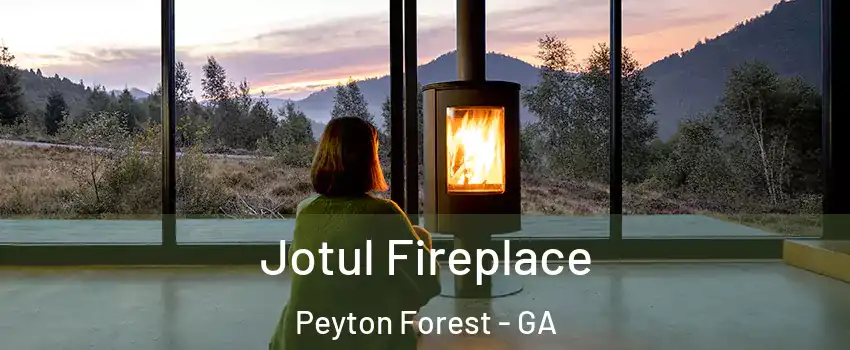 Jotul Fireplace Peyton Forest - GA