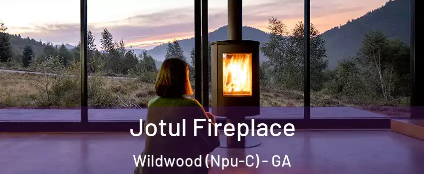 Jotul Fireplace Wildwood (Npu-C) - GA